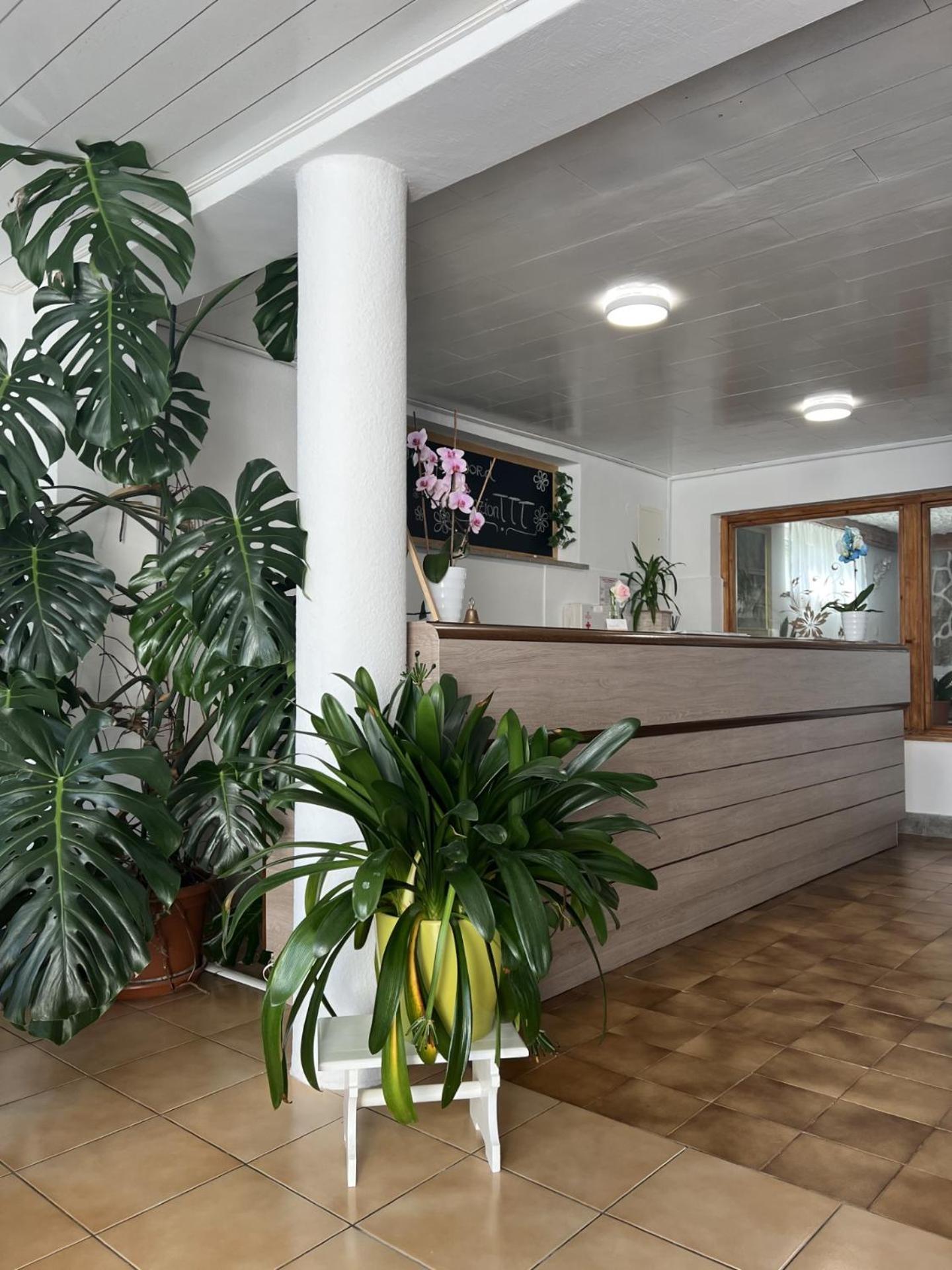 Ttt Guest house