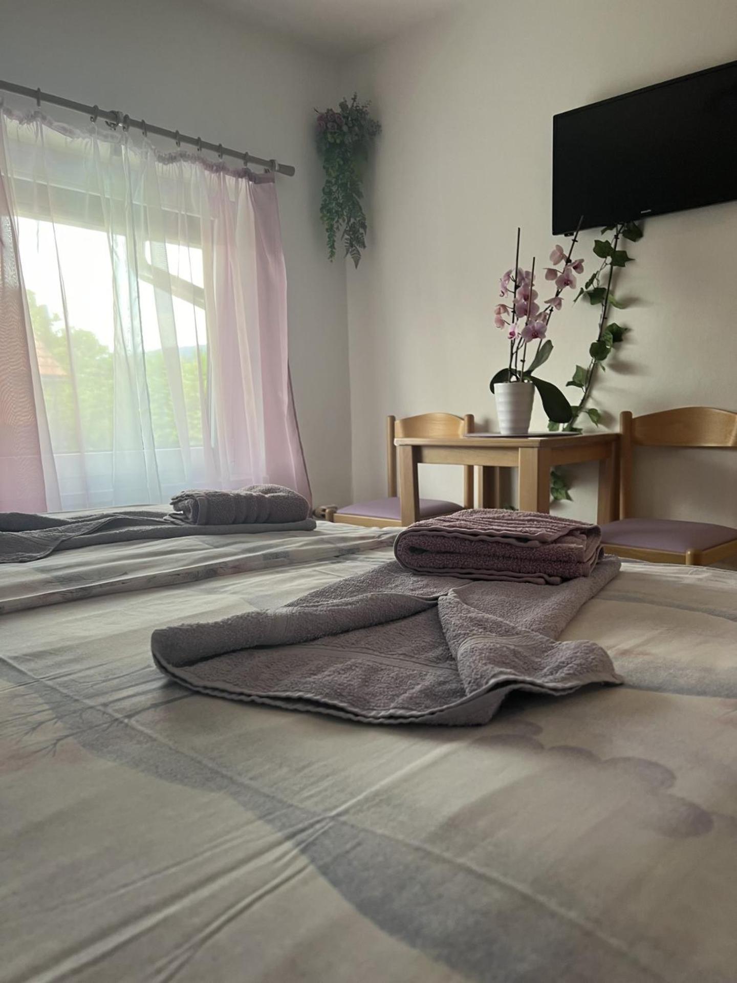Guest house Ttt 3*