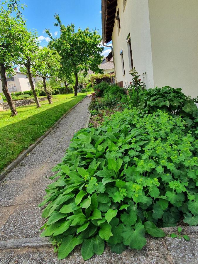 Ttt Guest house Bled